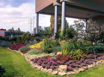 Ogrodnictwo specjalistyczne Sajdak